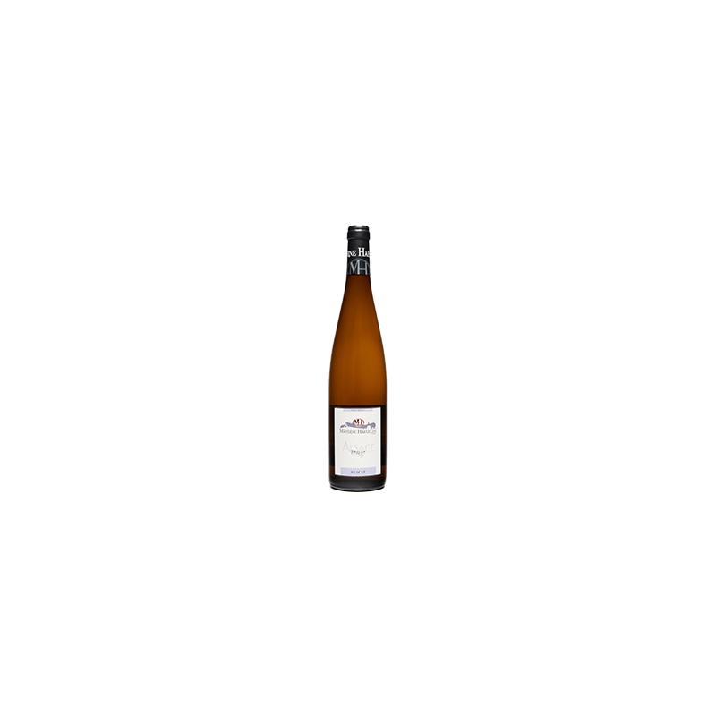 Muscat d'Alsace 2009