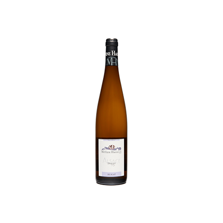Muscat d'Alsace 2009